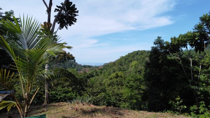 Medellin 3 Nights in Capurganá Chocó With Tours Included at the Border With Panama. - Essential Information and Recommendations
