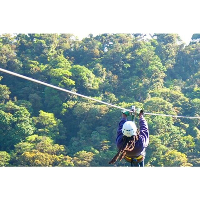 Medellin: 4-Hour Zip-Line Adventure - Recap