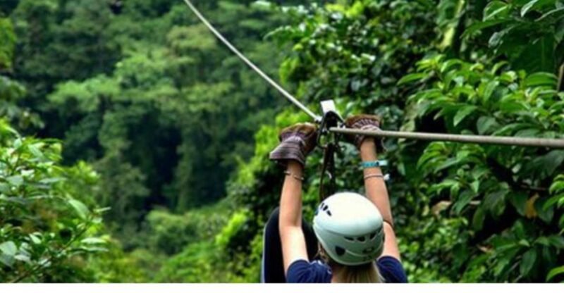 Medellin: 4-Hour Zip-Line Adventure - Pricing and Reservation