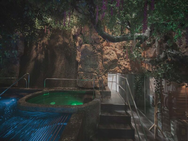 Medellín: 6-Hour Luxury Wellness Spa Retreat - Key Points