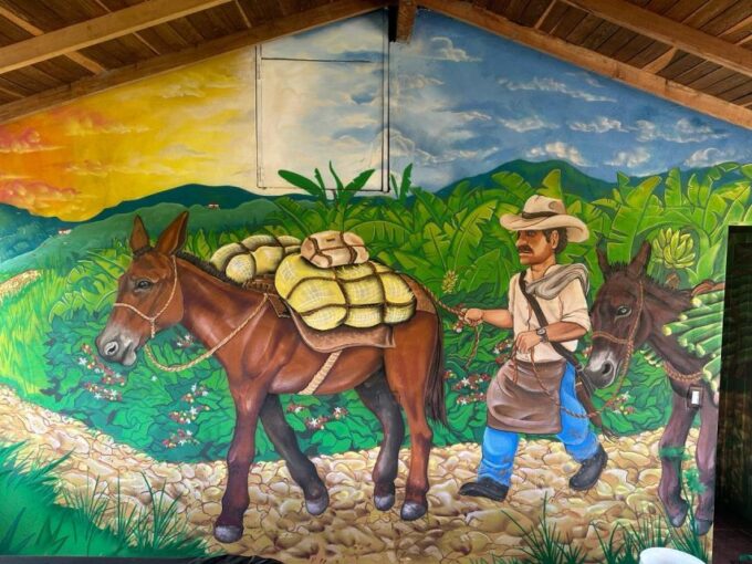 Medellin: Agro Tour Offers a Magical and Educational Experience - Getting There