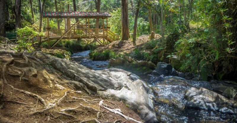 Medellin: Arvi Park, Cable Car & Waterfalls Tour - Key Points
