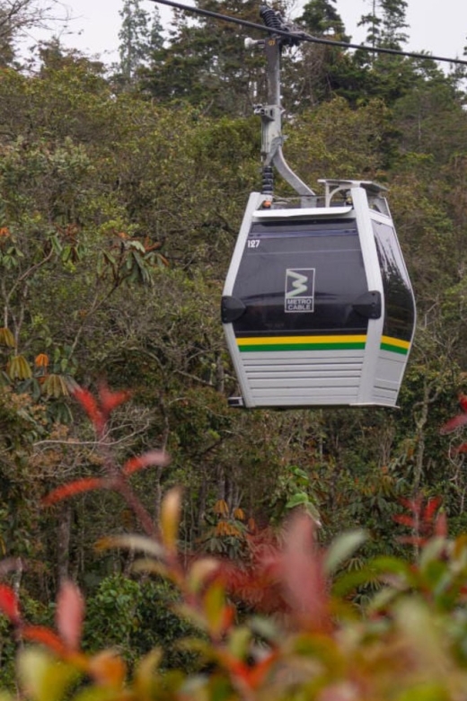 Medellin: Arvi Park, Cable Car & Waterfalls Tour - Itinerary and Highlights