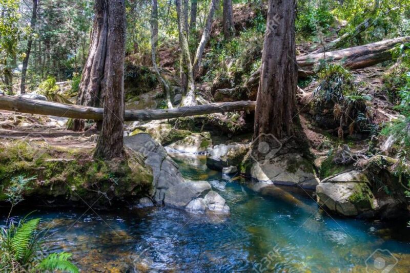 Medellin: Arvi Park, Cable Car & Waterfalls Tour - Inclusions