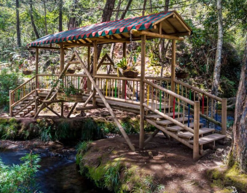 Medellin: Arvi Park, Cable Car & Waterfalls Tour - Important Information