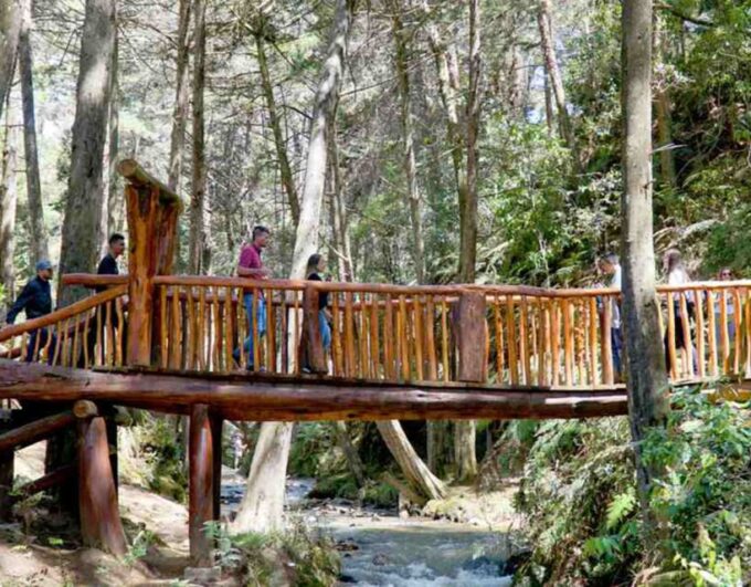 Medellin: Arvi Park, Cable Car & Waterfalls Tour - Breathtaking Viewpoints