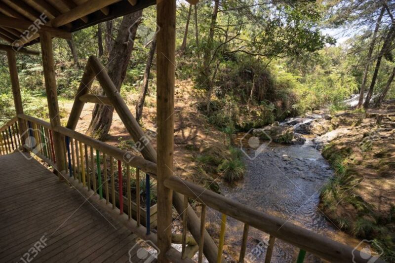 Medellin: Arvi Park, Cable Car & Waterfalls Tour - Customer Reviews and Ratings