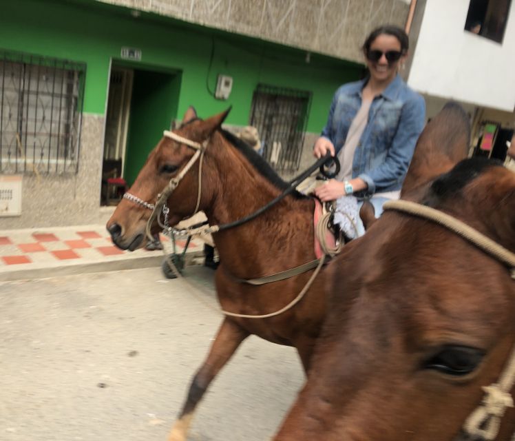 Medellín: Authentic Colombian Horseback Ride - Animal Welfare and Riding Experience