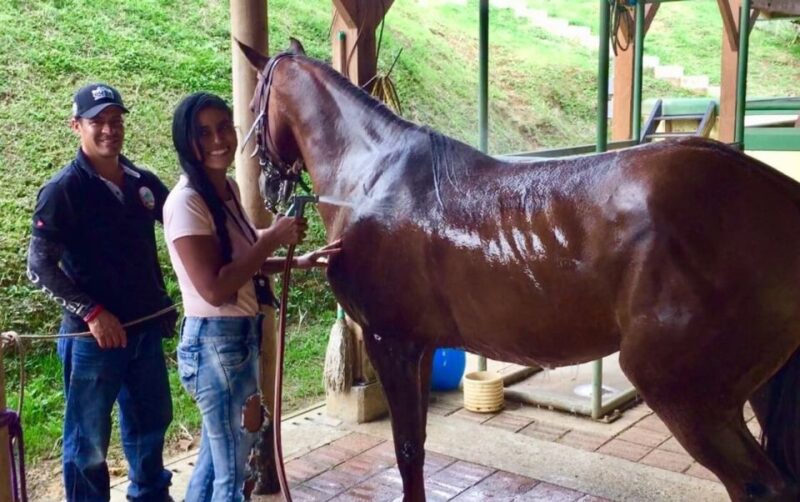 Medellín: Authentic Colombian Horseback Ride - Customer Reviews
