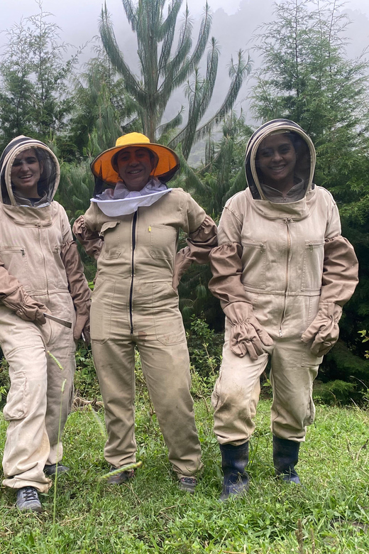 MEDELLÍN: Beekeeping Experience in Coffee Farm - Highlights and Experience