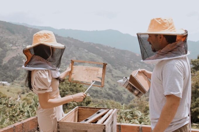 MEDELLÍN: Beekeeping Experience in Coffee Farm - Getting There