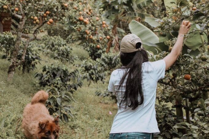 MEDELLÍN: Beekeeping Experience in Coffee Farm - Booking and Pricing
