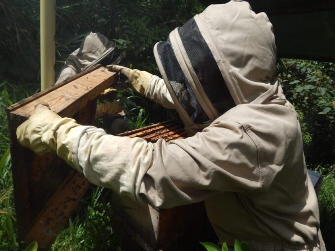 MEDELLÍN: Beekeeping Experience in Coffee Farm - Frequently Asked Questions