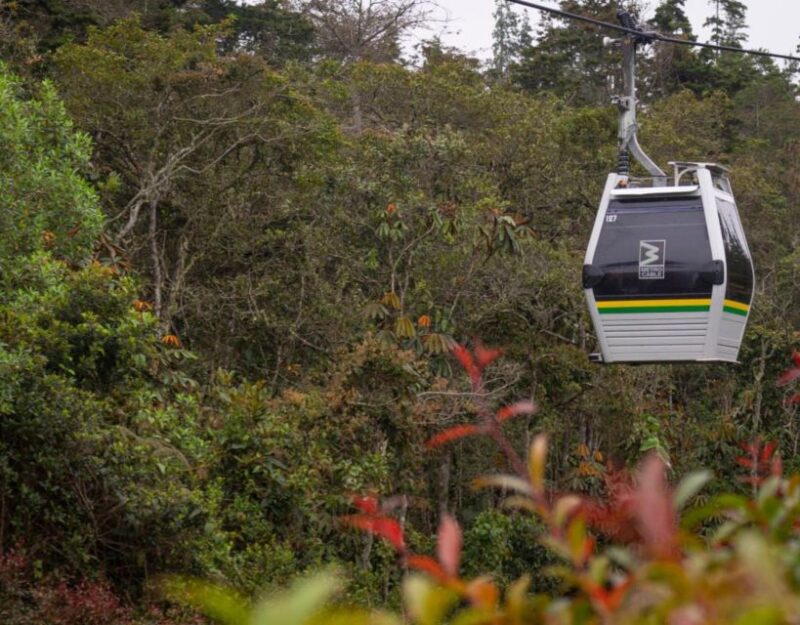 Medellín: Botanical Garden and Arvi Park City Tour - Key Points