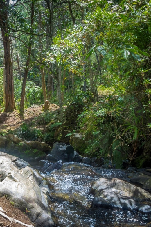 Medellín: Botanical Garden and Arvi Park City Tour - Metrocable Ride to Arvi Park