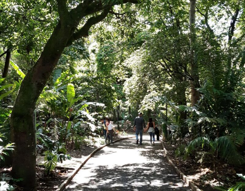 Medellín: Botanical Garden and Arvi Park City Tour - Exploring Arvi Park