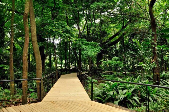 Medellín: Botanical Garden and Arvi Park City Tour - Highlights of the Tour
