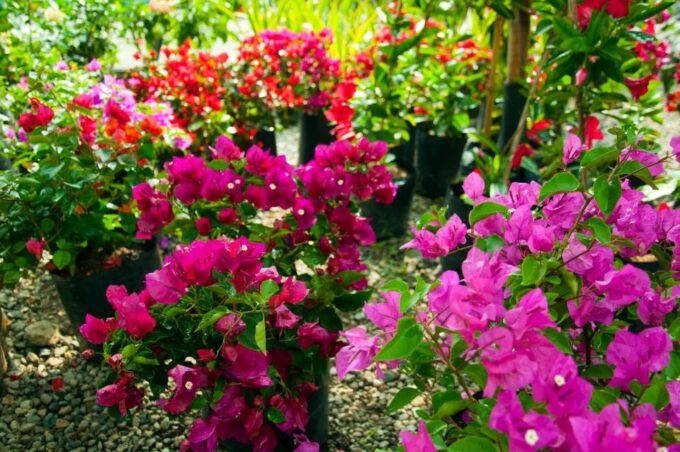 Medellín: Botanical Garden and Arvi Park City Tour - Inclusions and Amenities