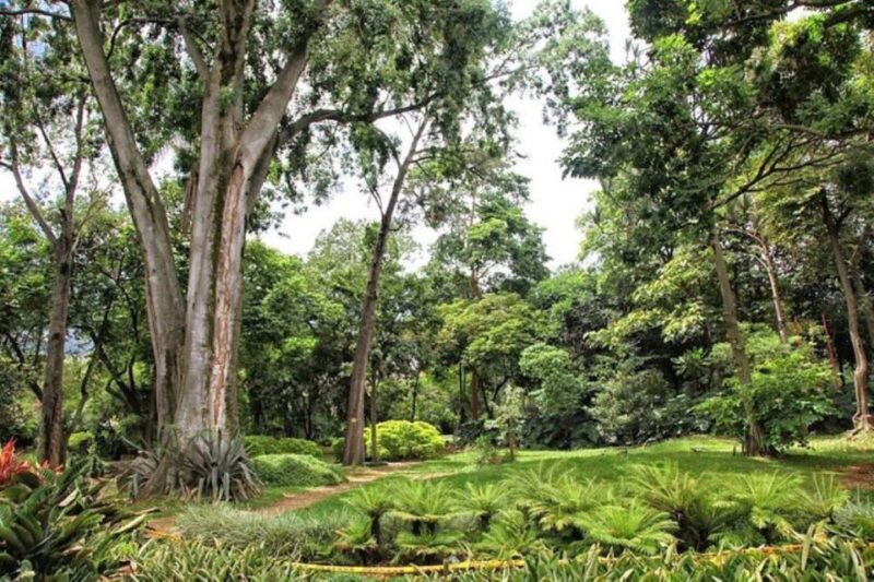 Medellín: Botanical Gardens Half-Day Tour - Private Guided Experience