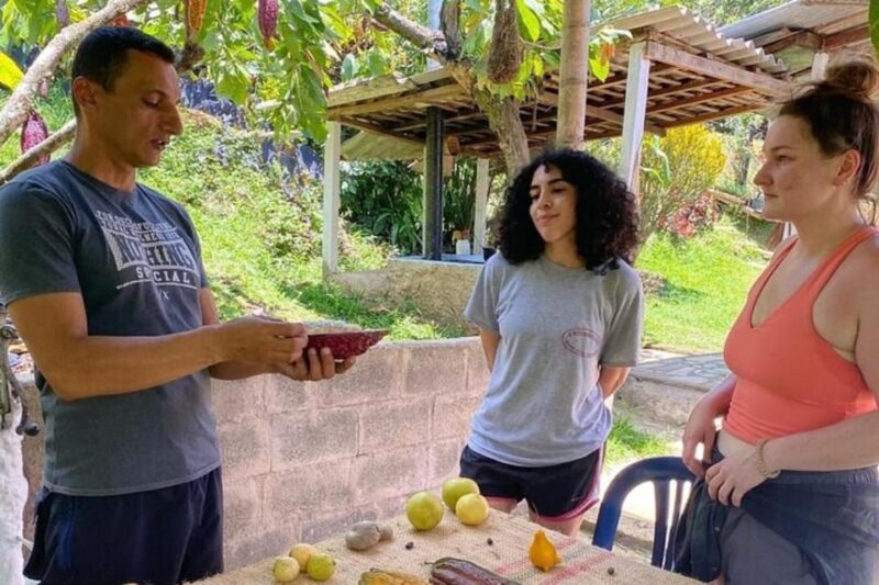 Medellin: Chocolate Roads Tour With Waterfall Experience - Key Points