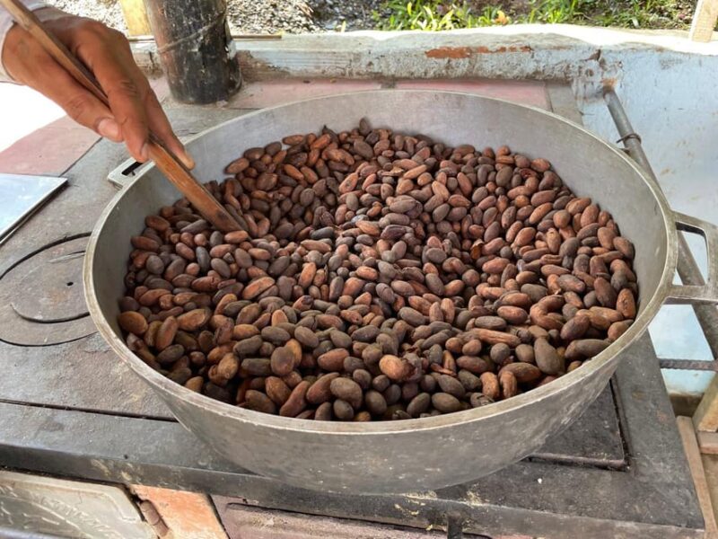 MEDELLÍN: CHOCOLATE TOUR & EXFOLIATION IN BEAUTIFUL RIVER! - Key Points
