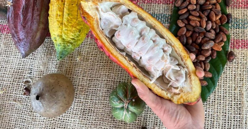 MEDELLÍN: CHOCOLATE TOUR & EXFOLIATION IN BEAUTIFUL RIVER! - Itinerary and Transportation