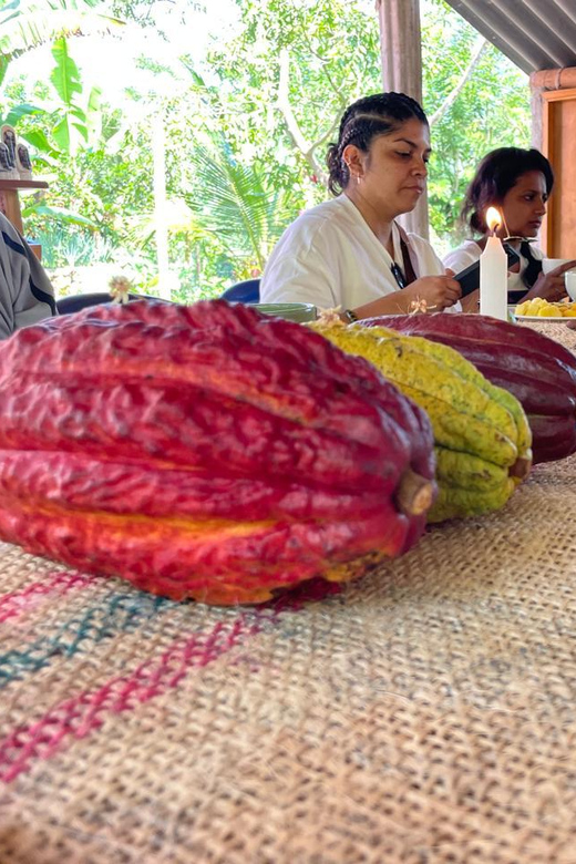 MEDELLÍN: CHOCOLATE TOUR & EXFOLIATION IN BEAUTIFUL RIVER! - Chocolate Production Experience
