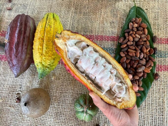 MEDELLÍN: CHOCOLATE TOUR & EXFOLIATION IN BEAUTIFUL RIVER! - Customer Feedback