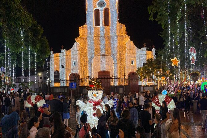 Medellin Christmas Lighting Private Tour - Accessibility and Participation