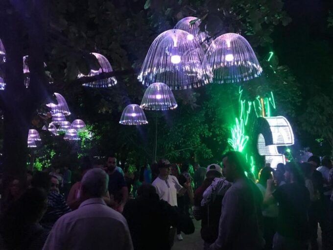Medellin Christmas Lights Tour - Booking and Cancellation