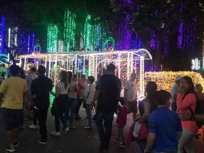 Medellin Christmas Lights Tour - Accessibility and Accommodation