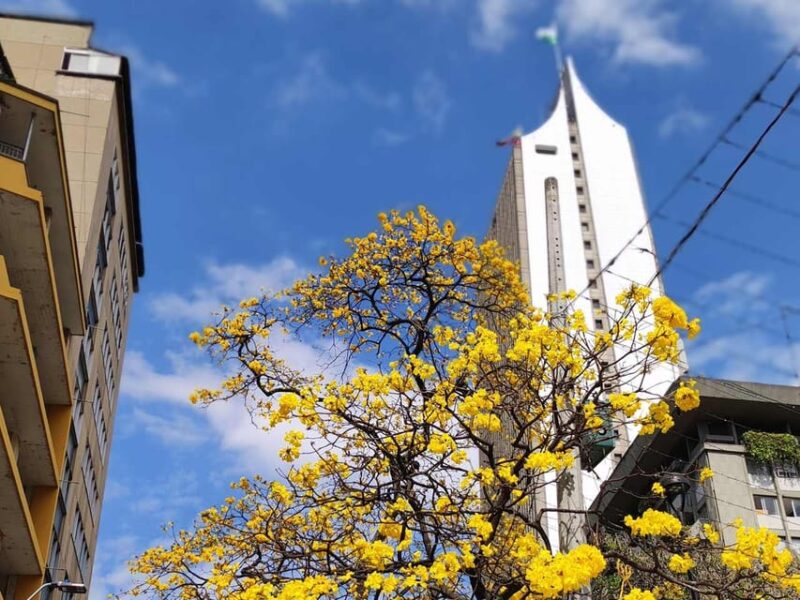 Medellin City Tour, 5 Hours With Art Book Included - Experience and Itinerary