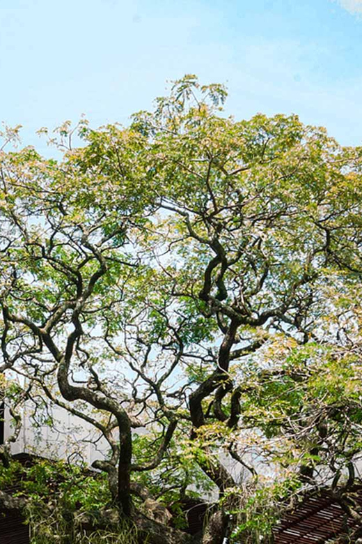 Medellin City Tour, 5 Hours With Art Book Included - Guided Tour Features