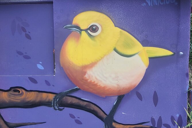 Medellín CityTour + Botero Plaza + Metro and Metrocable + Comuna 13 - Key Points