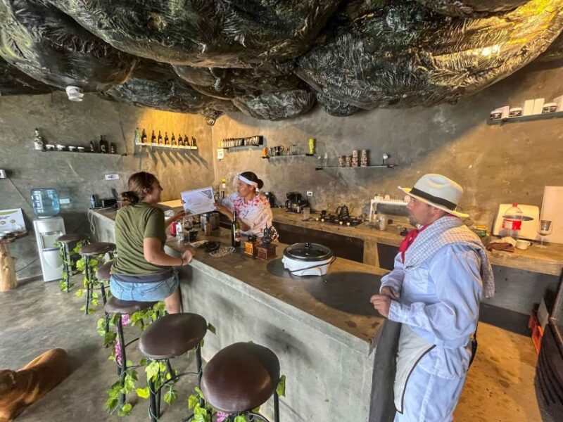 Medellin: Coffee Farm and Barista Workshop Experience - Hands-on Barista Training