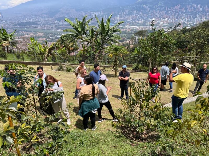Medellín: Coffee Farm and Roaster With Tacos Tour - Cancellation Policy