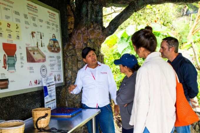 Medellin: Coffee Farm Tour & Spa With Overnight Glamping - Accommodation and Meals