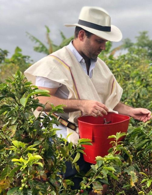 Medellín Coffee Farm Tour With Trolley and Cable Car Ride - Scenic Cable Car Ride
