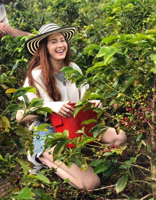 Medellín Coffee Farm Tour With Trolley and Cable Car Ride - Itinerary Highlights