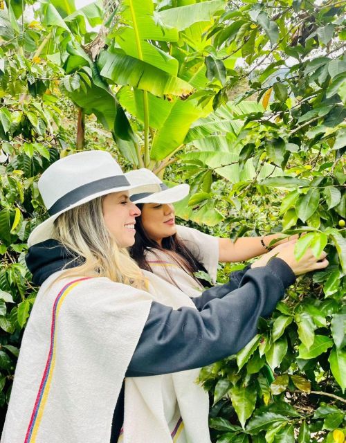 Medellín Coffee Farm Tour With Trolley and Cable Car Ride - Community Engagement