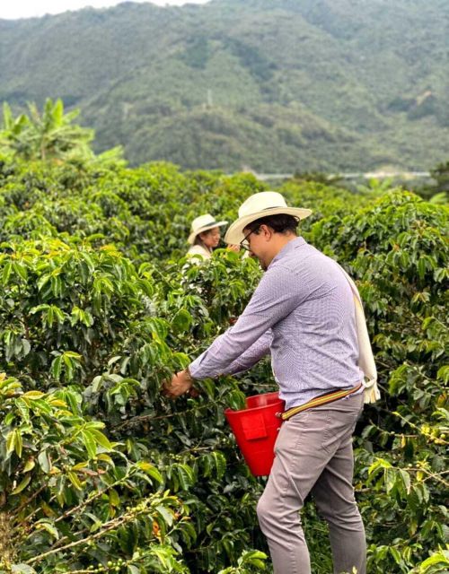 Medellín Coffee Farm Tour With Trolley and Cable Car Ride - Participant Information
