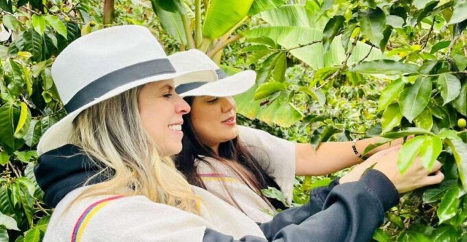 Medellín Coffee Farm Tour With Trolley and Cable Car Ride - Cable Car and Trolley Ride