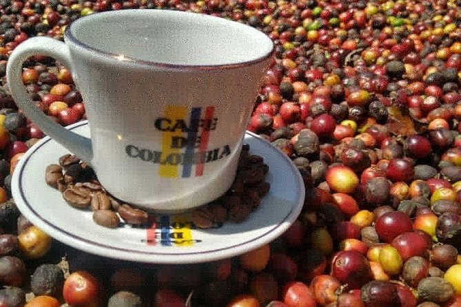 Medellin: Coffee Tour and Paisa Experience - Exploring Colombian Coffee History