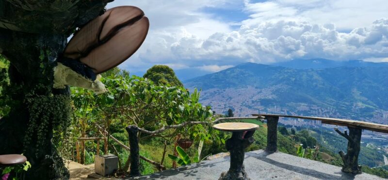 Medellin: Coffee Tour and Wellness Spa - Itinerary