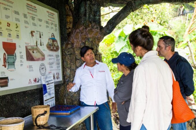 Medellin: Coffee Tour and Wellness Spa - Getting to the Meeting Point