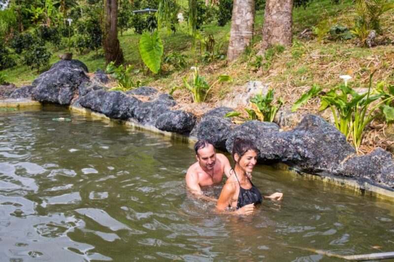 Medellin: Coffee Tour and Wellness Spa - Inclusions