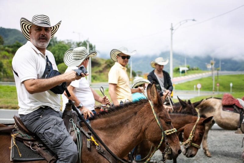 Medellin: Coffee Tour, Horseback Arrival, and Sugar Cane - Tour Itinerary and Activities