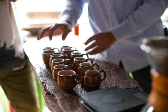 Medellin: Coffee Tour, Horseback Arrival, and Sugar Cane - Customer Feedback and Highlights