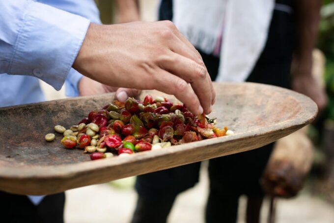 Medellin: Coffee Tour, Horseback Arrival, and Sugar Cane - Frequently Asked Questions