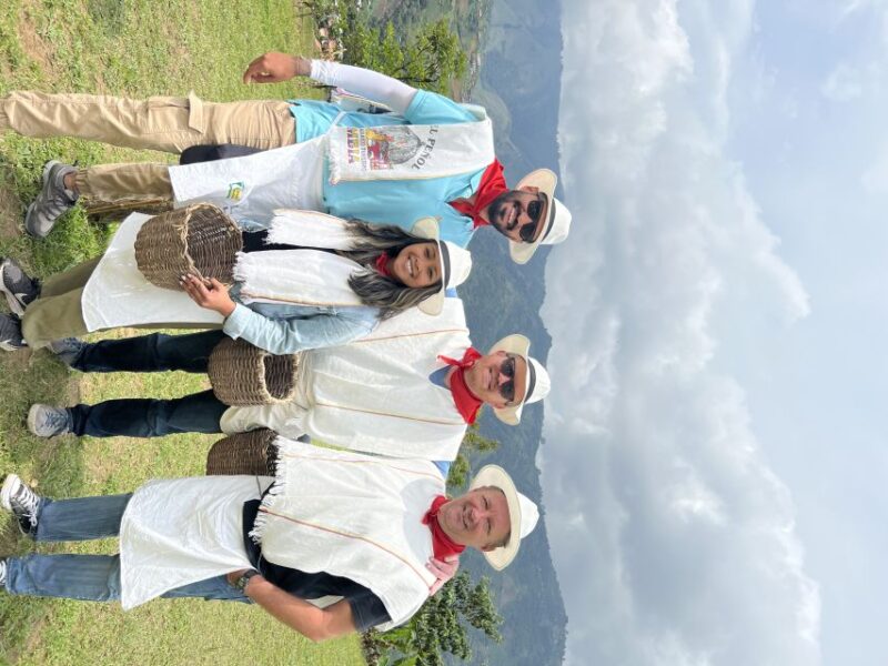 Medellin: Coffee Tour in the Beautiful Mountains of Medellin - Key Points